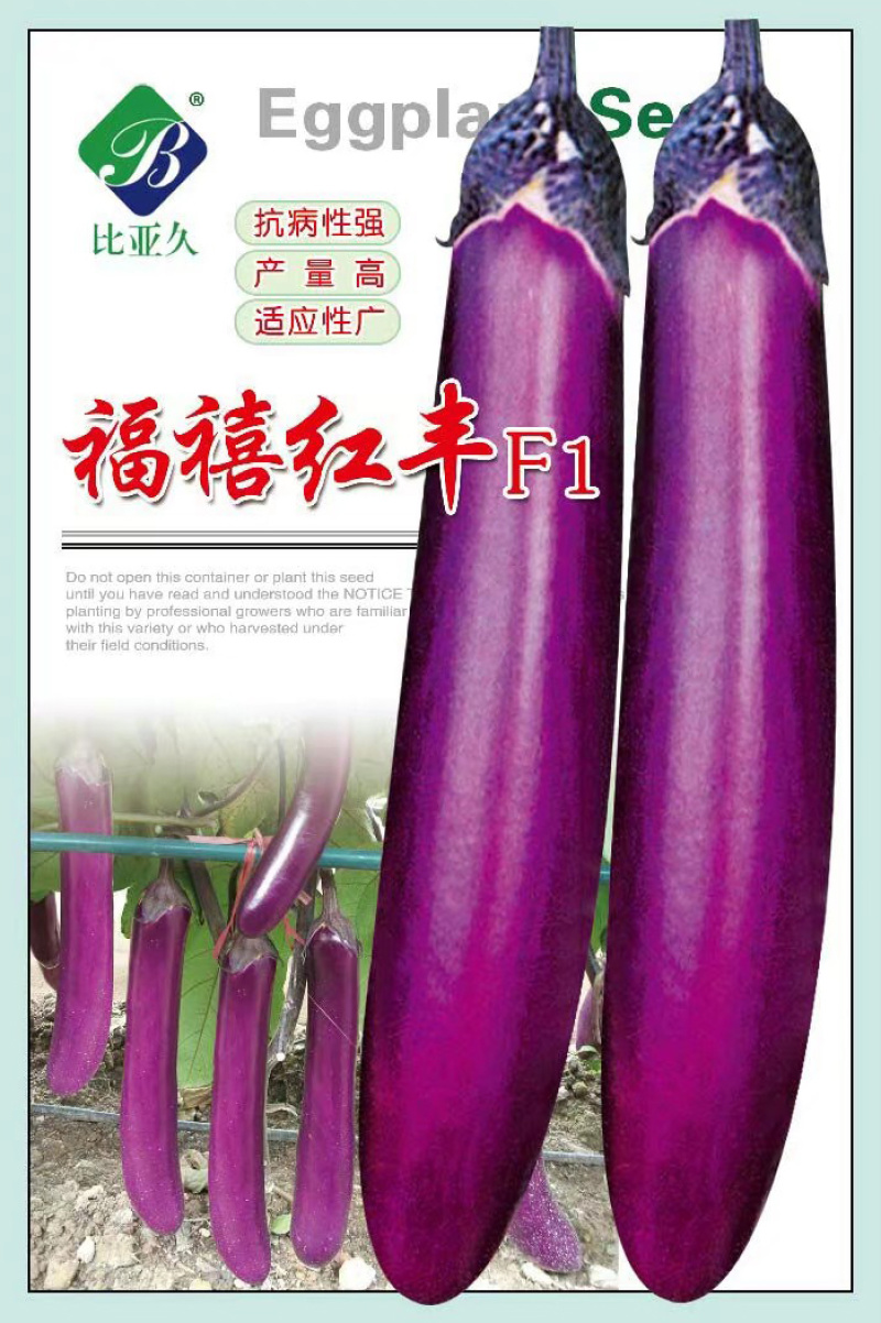 茄子种子福禧红丰抗病紫红长茄种子粗棒型紫红亮丽高产长茄