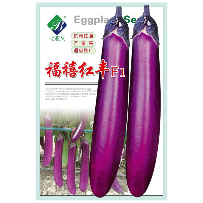 茄子种子福禧红丰抗病紫红长茄种子粗棒型紫红亮丽高产长茄
