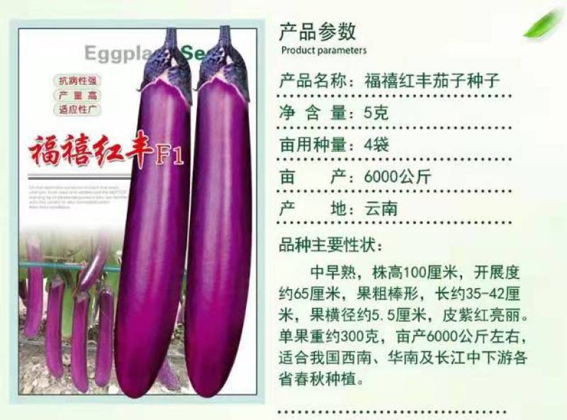茄子种子福禧红丰抗病紫红长茄种子粗棒型紫红亮丽高产长茄