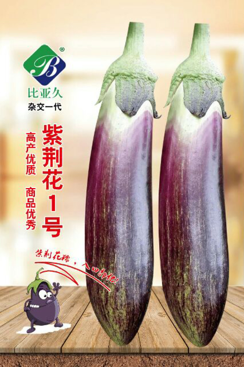 茄子种子紫荆花1号花糯茄子种子耐免疫病黄萎病长约30厘米