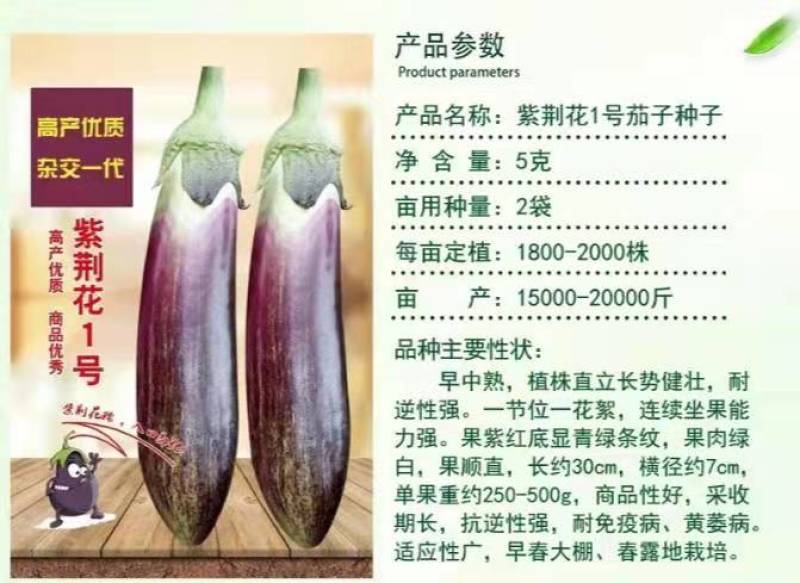 茄子种子紫荆花1号花糯茄子种子耐免疫病黄萎病长约30厘米