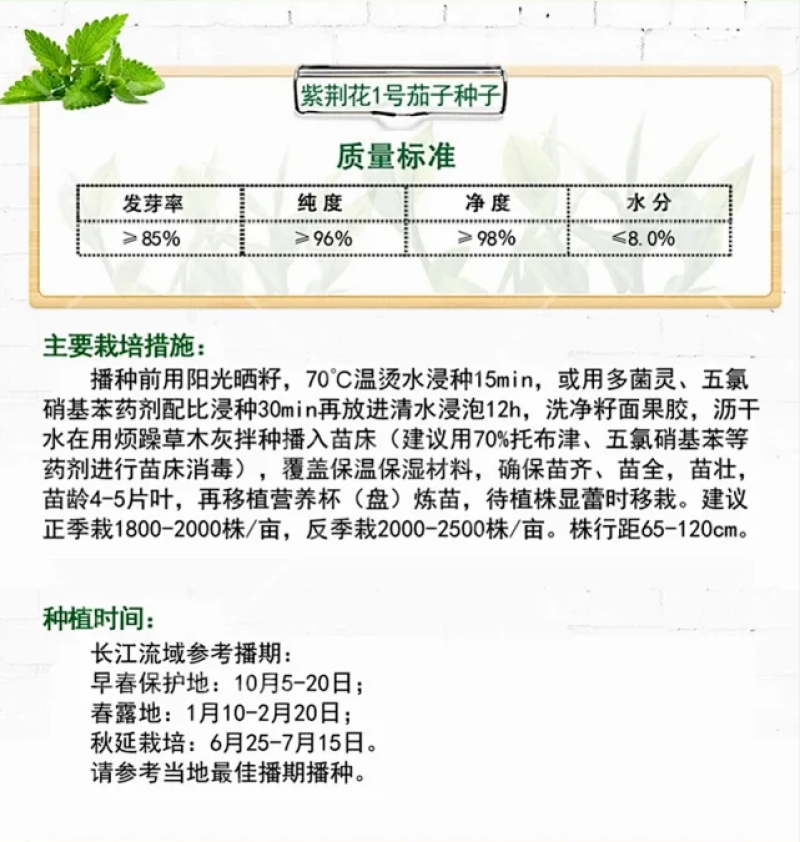 茄子种子紫荆花1号花糯茄子种子耐免疫病黄萎病长约30厘米