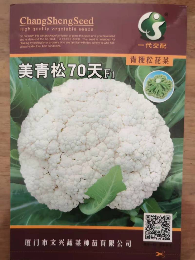 美青松65/7090天台湾青梗松花菜种子耐热有机花菜种子