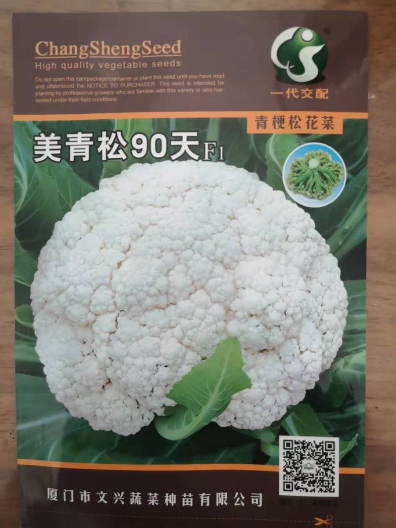 美青松65/7090天台湾青梗松花菜种子耐热有机花菜种子