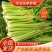 【推荐】芹菜河北唐山乐亭县精品芹菜鲜货现发供应全国