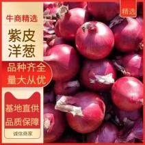 【洋葱】山东洋葱紫皮洋葱质量好价格便宜可发市场电商