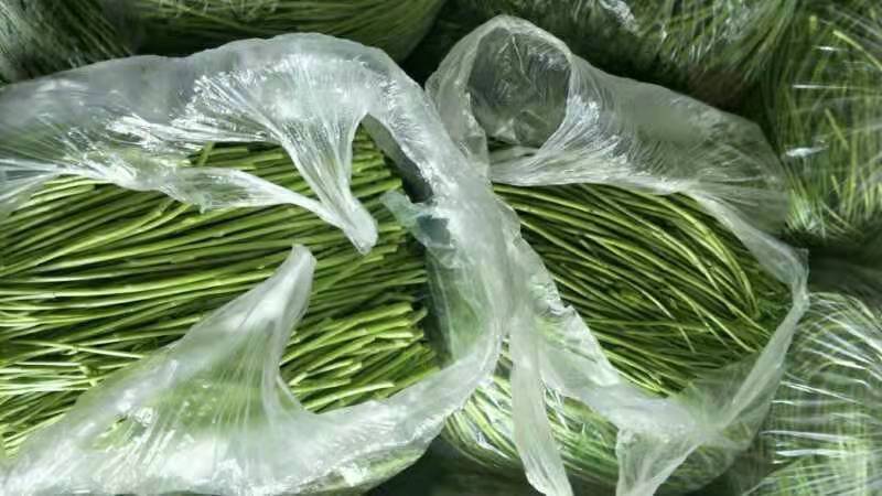 【优选】芦蒿，农家种植，青白蒿，地头直销，全嫩精品！