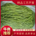 【优选】芦蒿，农家种植，青白蒿，地头直销，全嫩精品！
