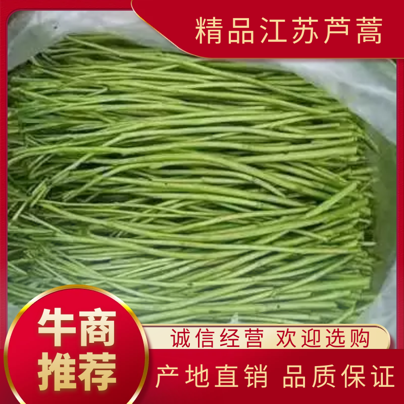 【优选】芦蒿，农家种植，青白蒿，地头直销，全嫩精品！