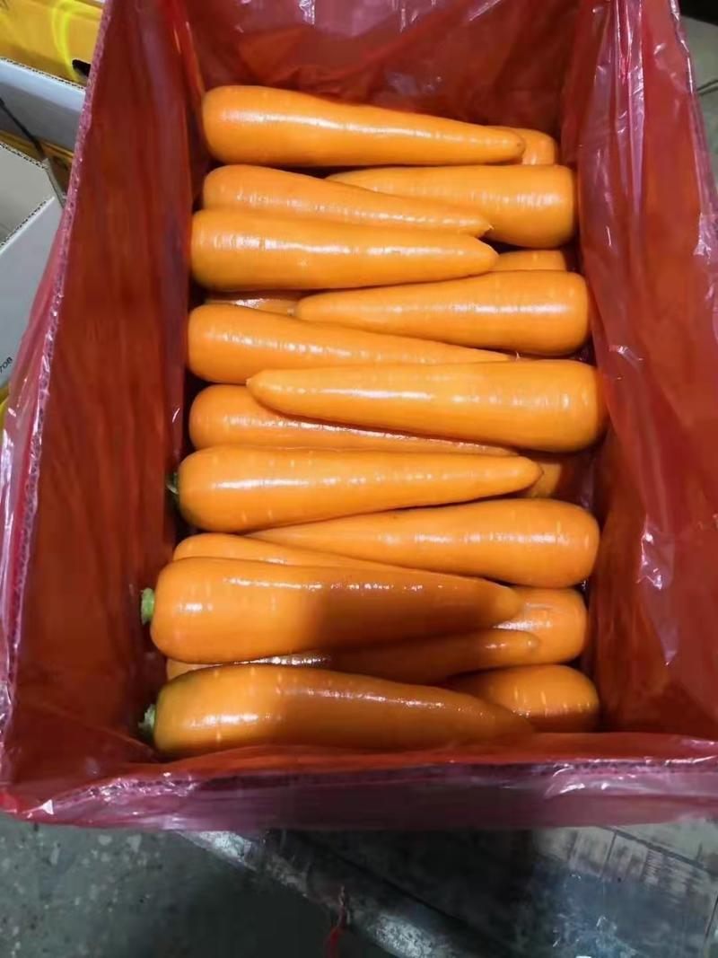 胡萝卜三红胡萝卜商超市直供(无青头条形好)水洗加工打包