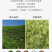 【荐】稣红孜然粉成品厂家直发量大从优可对接烧烤批发超市