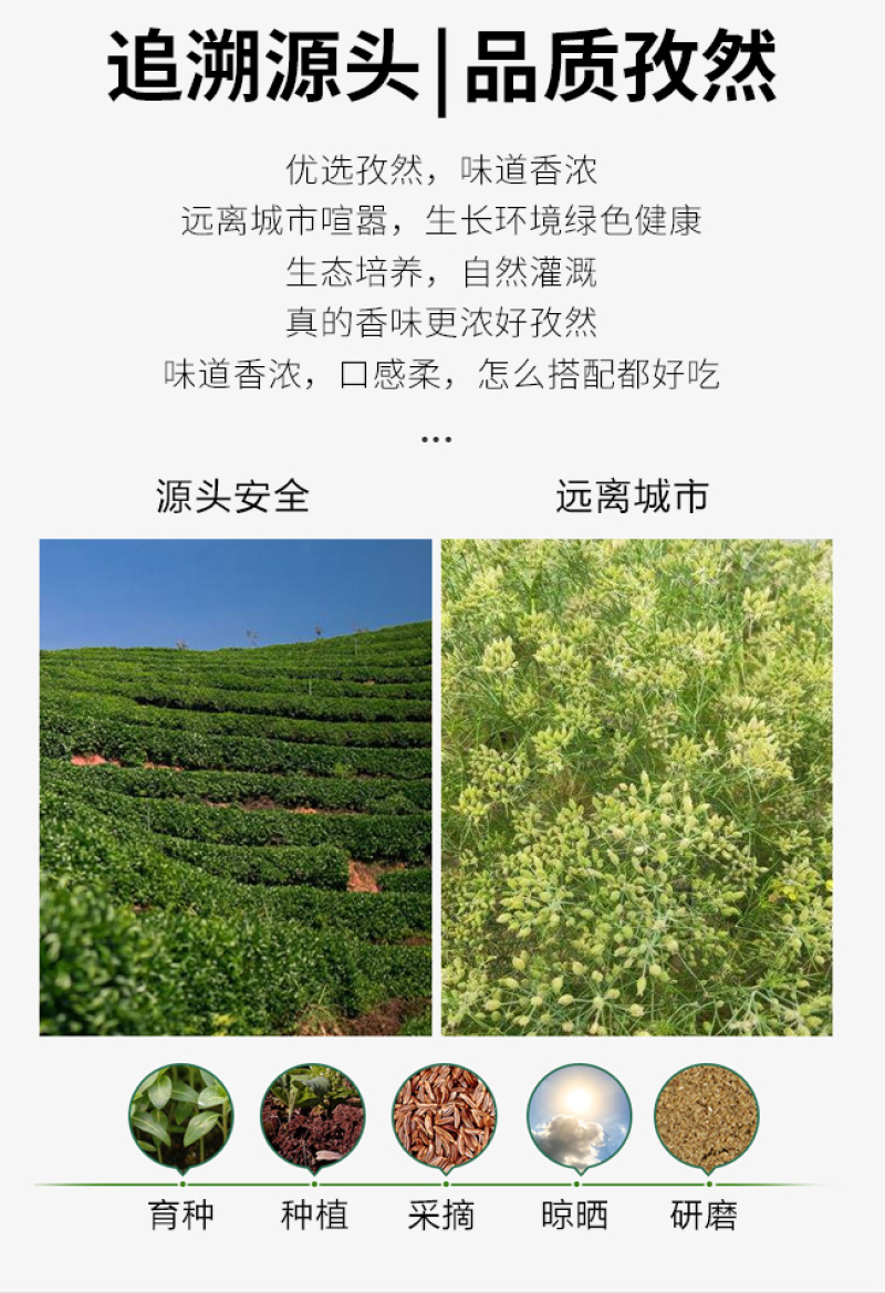 【荐】稣红孜然粉成品厂家直发量大从优可对接烧烤批发超市