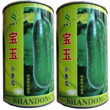 宝玉小冬瓜种子绿皮白心早熟抗病搭架品种春秋保护地种植