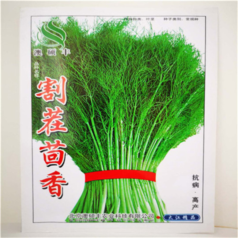 割茬茴香种子小茴香种子菜种籽四季栽易种再生能力强产量高
