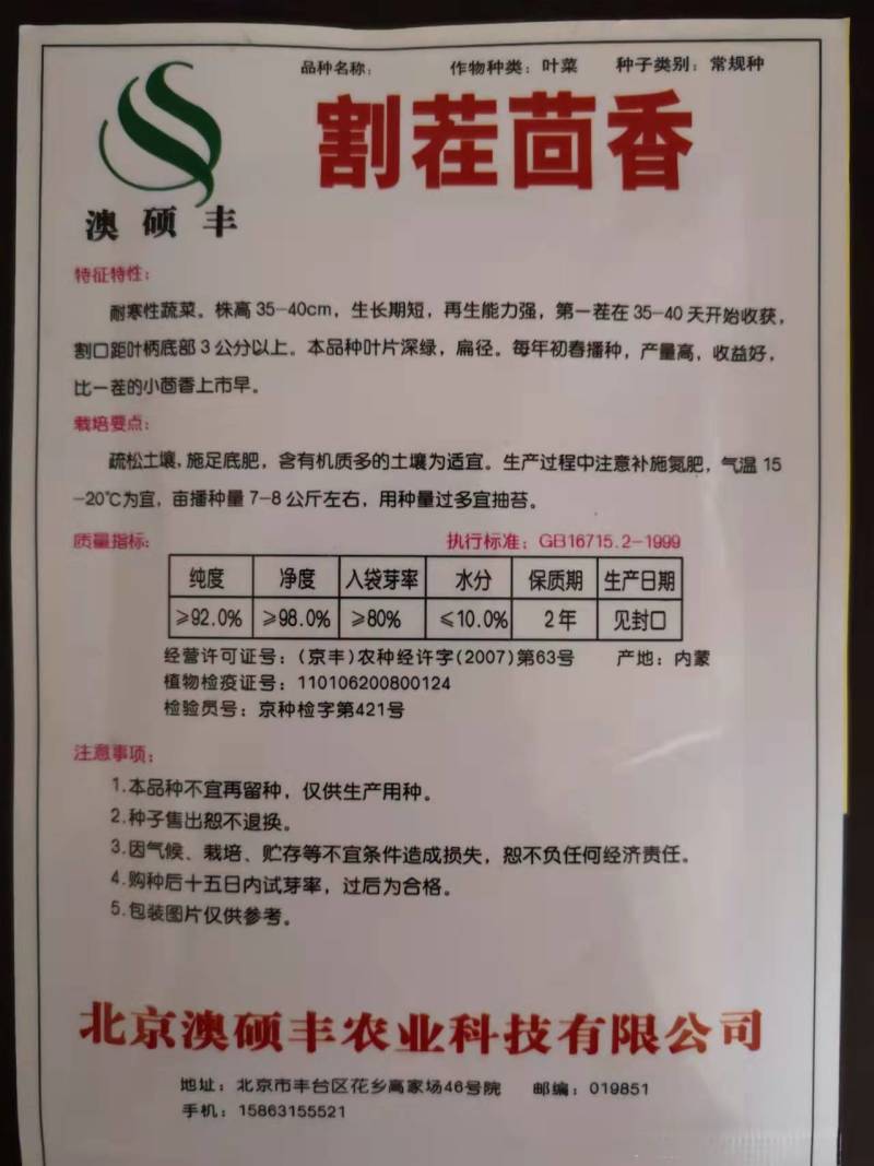 割茬茴香种子小茴香种子菜种籽四季栽易种再生能力强产量高