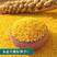 精选书香三号黄谷子种子优质小米种子黄谷种籽抗病特高产