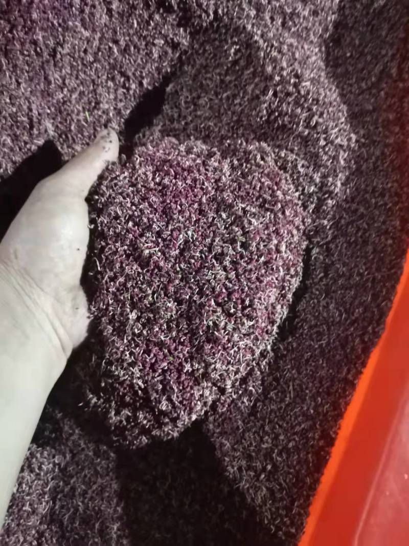 梨花粉，雪梨花粉，鸭梨花粉，苹果粉，花粉基地直发价格美丽