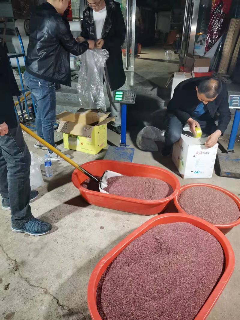 梨花粉，雪梨花粉，鸭梨花粉，苹果粉，花粉基地直发价格美丽