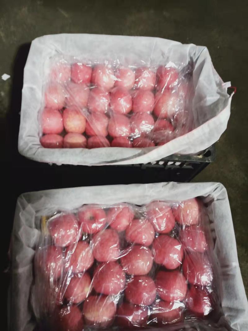 陕西渭南条纹红富士苹果香甜可口规格齐全物美价廉可视频看货