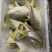 冷冻金鲳鱼，新鲜冷冻，条冻，冰衣自选肉多刺少