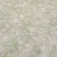 草坪，真草，马尼拉草坪草绿化工程庭院别墅适用，自产自销