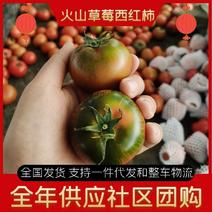 潍坊草莓西红柿全年供应种植基地草莓柿子口感好