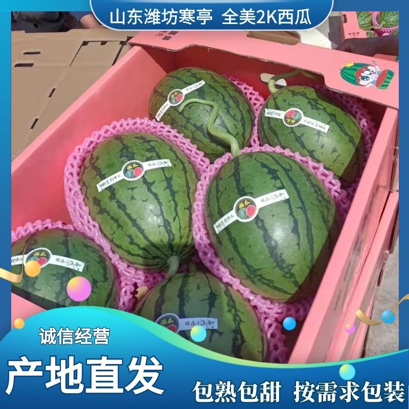 全美2k小吊瓜，礼品瓜，冰糖籽，L600小糖丸西瓜
