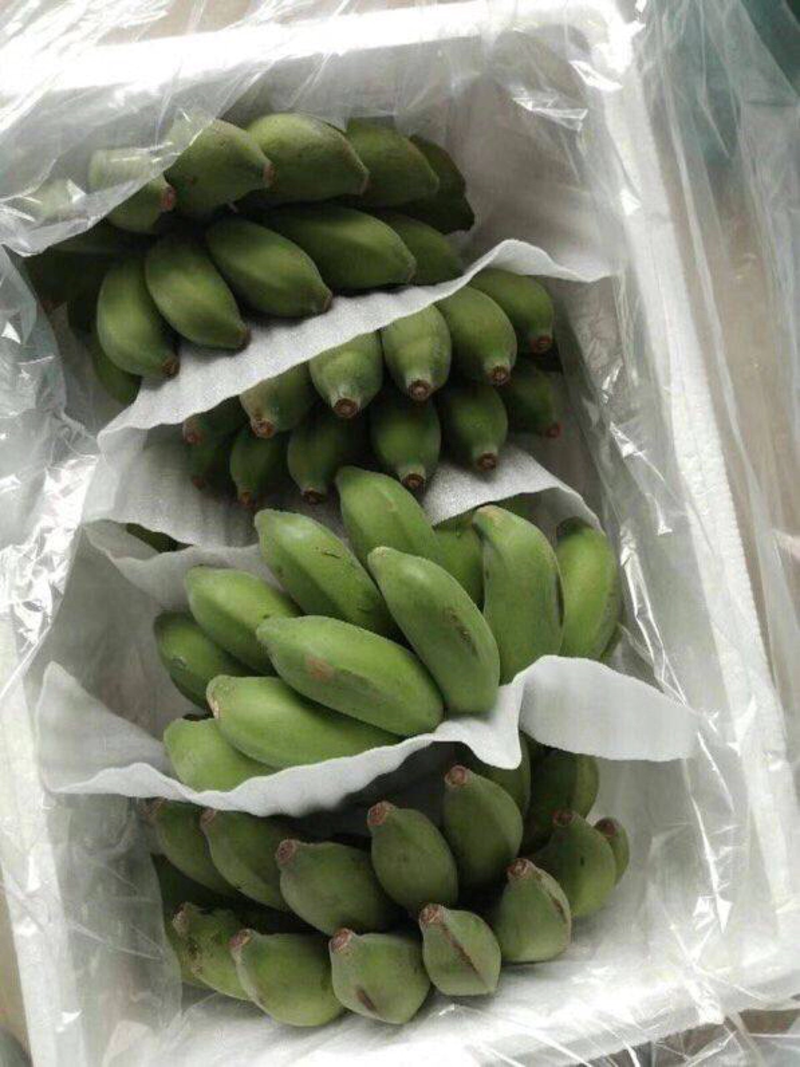 农家自种小米蕉粉蕉小甜蕉9斤包邮应季水果非香蕉大蕉皇帝蕉