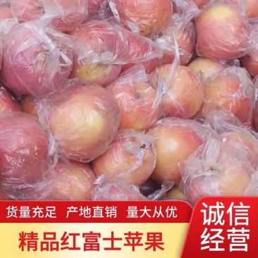 红富士苹果膜袋纸袋均有产地发货价格美丽欢迎咨询