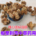 中药材带刺板栗球栗刺壳风栗壳板粟刺粟子刺壳风粟栗子刺球淋