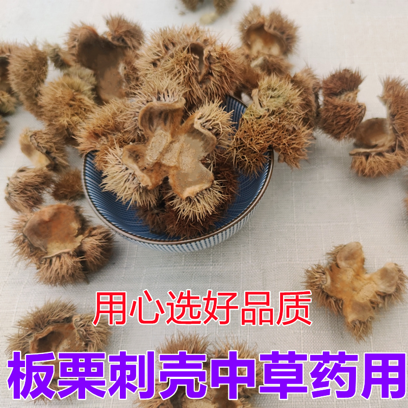 中药材带刺板栗球栗刺壳风栗壳板粟刺粟子刺壳风粟栗子刺球淋