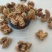 中药材带刺板栗球栗刺壳风栗壳板粟刺粟子刺壳风粟栗子刺球淋