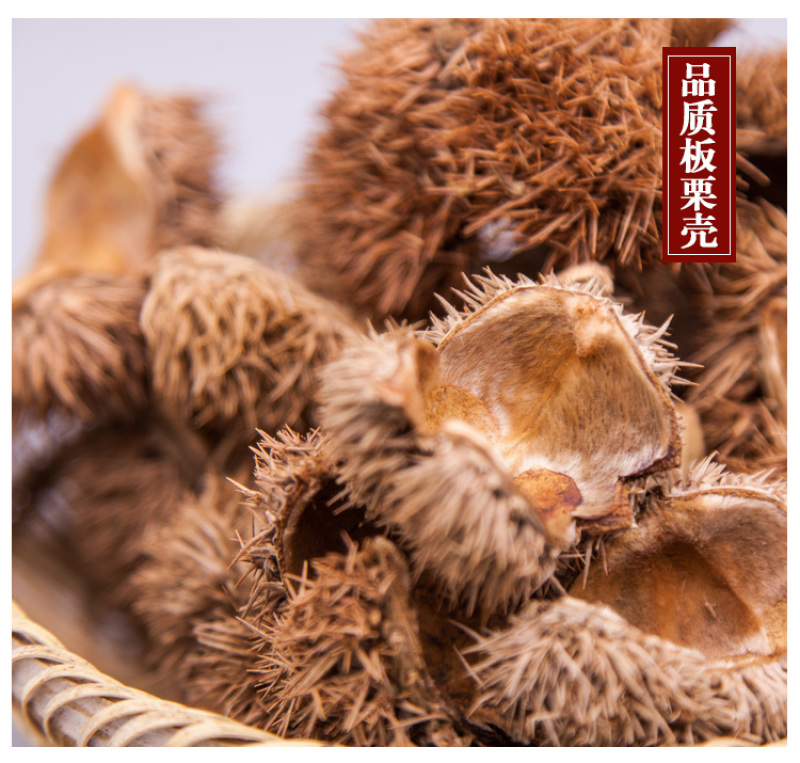 中药材带刺板栗球栗刺壳风栗壳板粟刺粟子刺壳风粟栗子刺球淋
