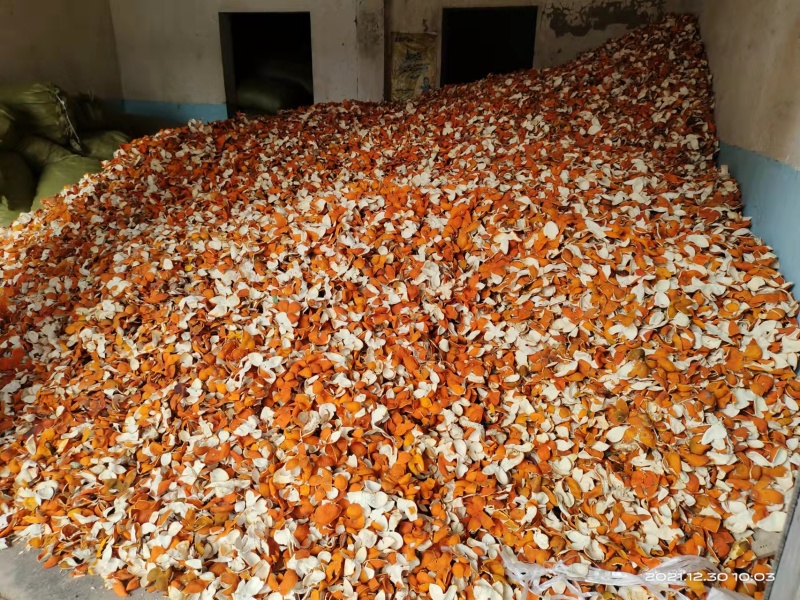 正宗新鲜陈皮中药材大量有货物美价廉可视频看货欢迎电话联系