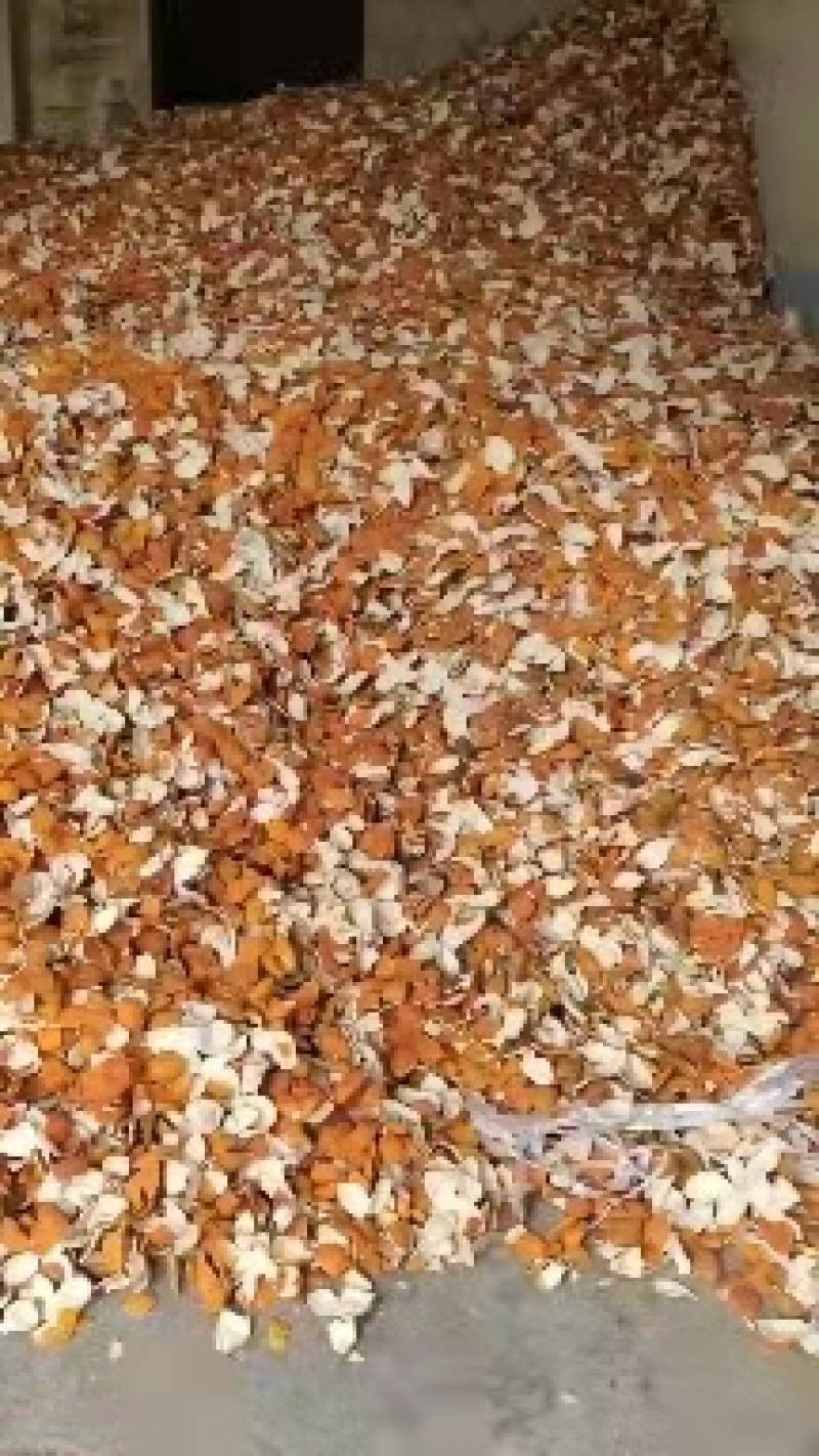 正宗新鲜陈皮中药材大量有货物美价廉可视频看货欢迎电话联系