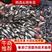 石斑鱼苗渔场直发一手货源可视频看货