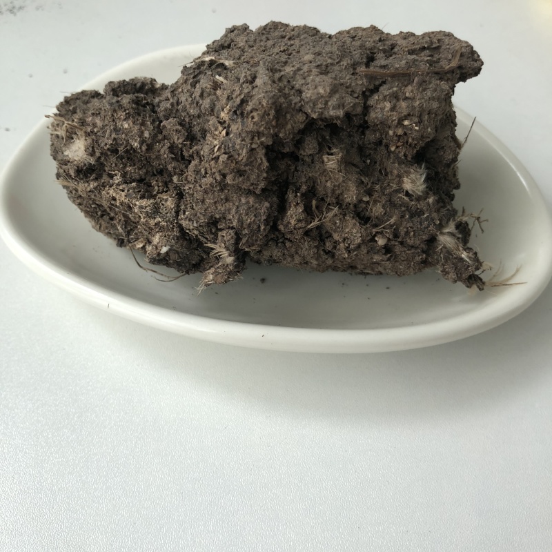 干鸡屎水泥地晾晒花卉蔬菜专用有机肥纯干鸡粪块