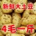 热卖精品土豆，产地大降价，质优价廉，专业土豆代办