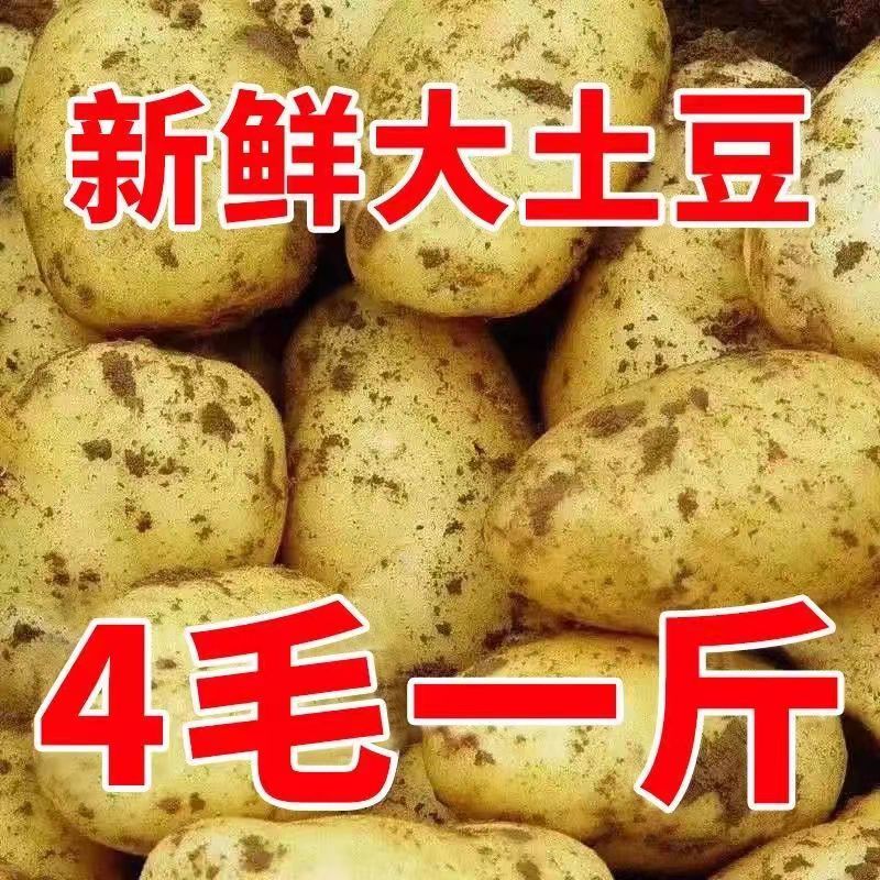 热卖精品土豆，产地大降价，质优价廉，专业土豆代办