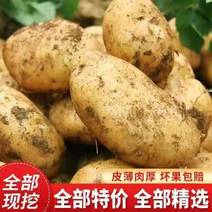 内蒙古土豆代办，规格齐全，一手货源，保证质量
