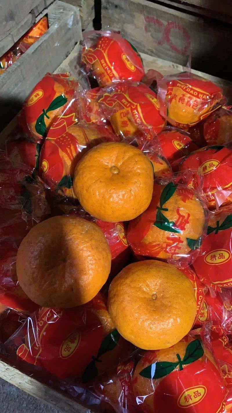 福建芦柑红袋，精品，每种规格都有，价格非常便宜