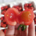 [热卖]山东济南釜山88圣女果西红柿番茄产地直发欢迎下单