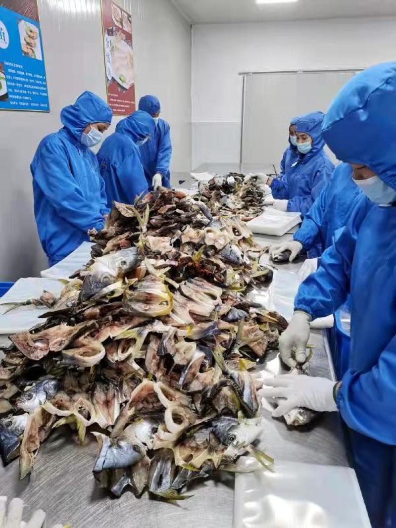 金鲳鱼干套餐（5条装）全国包邮阳江一夜埕海味特产