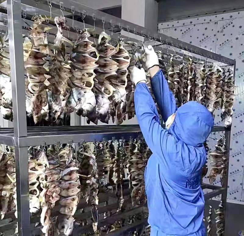 金鲳鱼干套餐（5条装）全国包邮阳江一夜埕海味特产