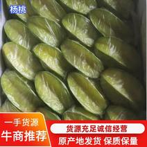 广东龙门麻榨杨桃清甜爽口有地理性标志的农产品