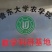 黑皮鸡枞菌包产地直供全程跟踪技术指导