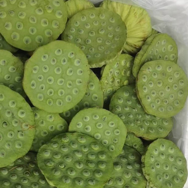 莲子藕苗种苗种子太空36号湘莲苗湖南高产荷花苗莲藕苗
