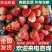 【草莓】正宗奶油草莓产地现摘现发品质保证量大从优