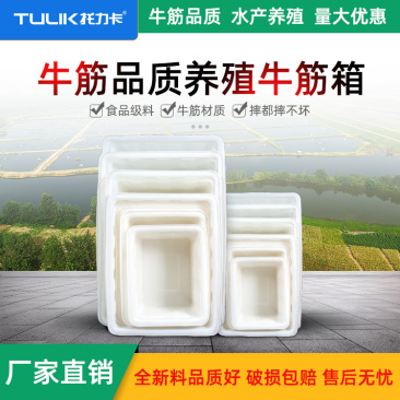 牛筋水箱储水箱腌制箱