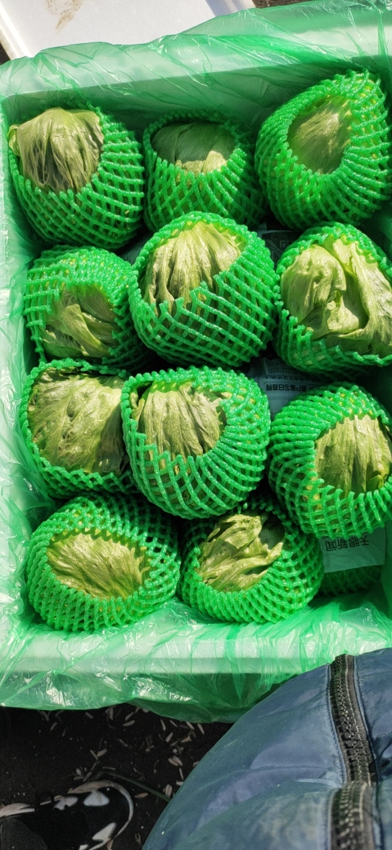 【优质】生菜精品球生菜【商超品质】一手货源